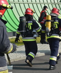 Strażacy zmienią kolor mundurów? MSWiA pracuje nad tym