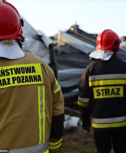 Tragedia na S1. Tir wpadł do rowu, zginął człowiek