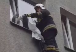 Kot zaklinował się w oknie. Na pomoc ruszyli strażacy [WIDEO]