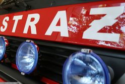 Nowostawy Dolne. Pożar samochodu na autostradzie A2