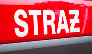 Duży pożar hali pod Gnieznem. Wezwano 30 zastępów straży pożarnej