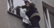 Kot zaklinował się w oknie. Na pomoc ruszyli strażacy [WIDEO]