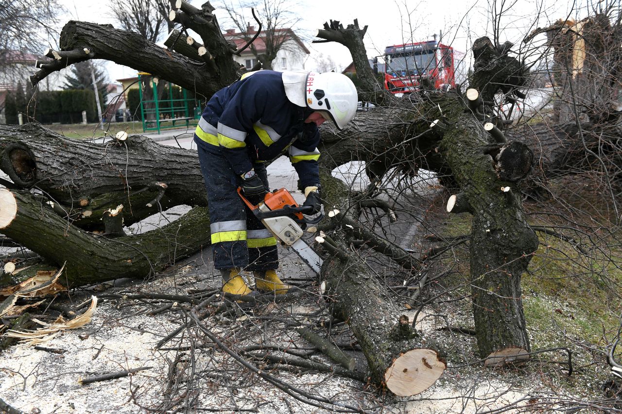 Pogoda. Nad Polską szaleje Yulia. Niszczycielski wiatr spowodował wiele szkód