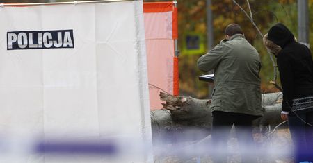 Auto wbiło się w drzewo. Dwóch zabitych w Słupsku