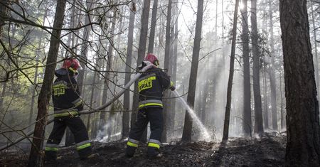 Zwęglone zwłoki 21-latka w aucie. Sprawę bada policja