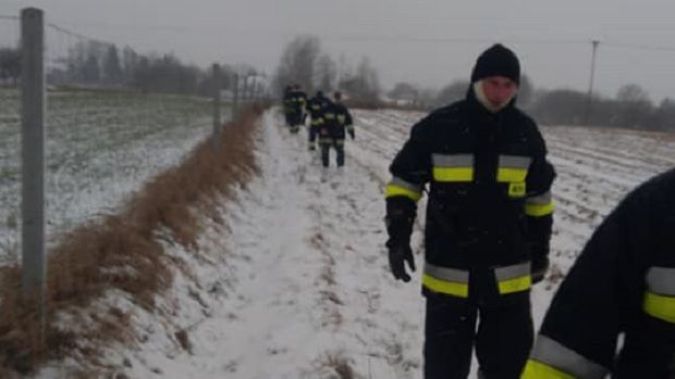 Zdjęcie z akcji poszukiwawczej niedaleko Przeworska
