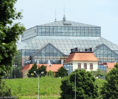 Rodzina upubliczniła list zmarłej księgowej. Padają w nim poważne oskarżenia