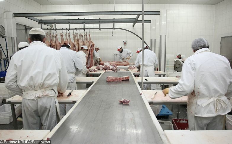 Mięso z chorych krów trafiło na rynek. Zakład został zamknięty, produkty są wycofywane z całej Europy