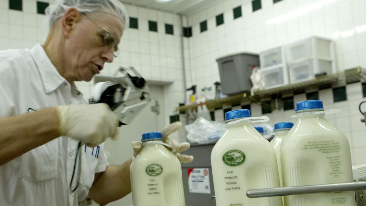 Kilkadziesiąt osób strajkuje pod siedzibą Bielmleku. 