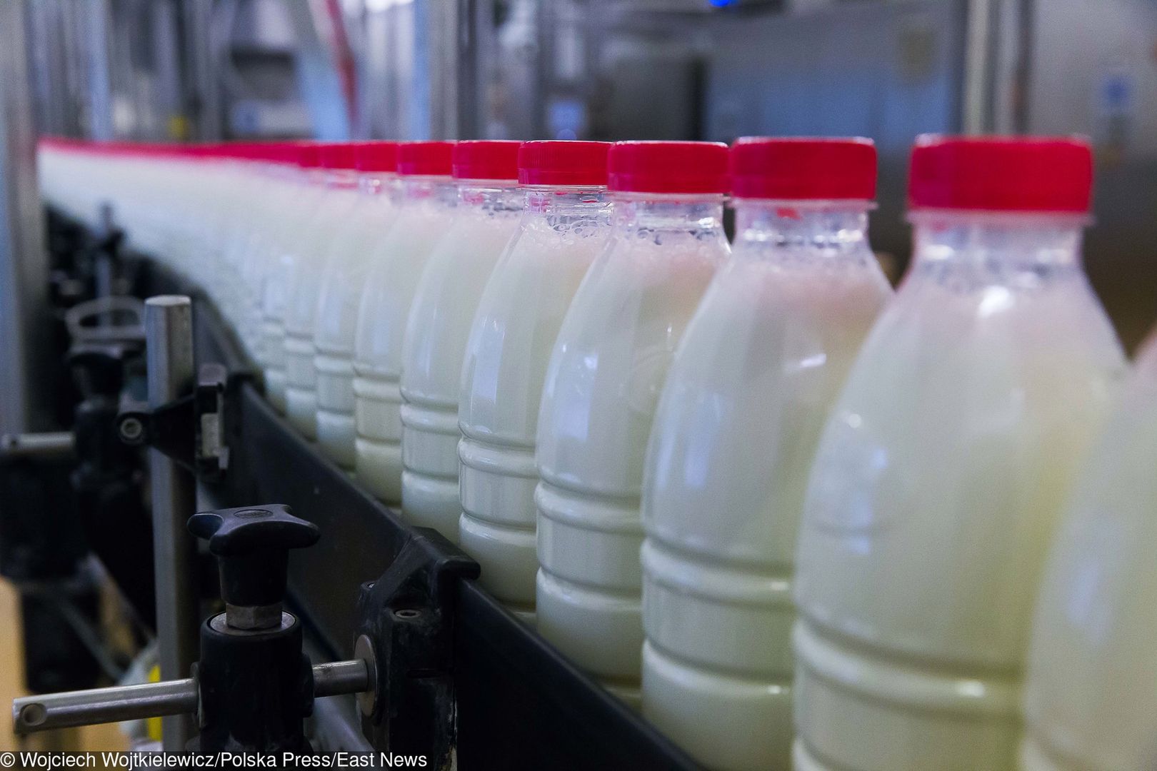 11 osób zatrzymano za dolewanie mleka do wody w spółdzielni mleczarskiej w Gostyniu (zdjęcie ilustracyjne)