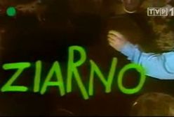 Czy "Ziarno" jest fajne?