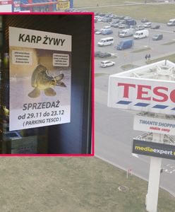 Tesco oficjalnie zrezygnowało ze sprzedaży żywych karpi. Ale znaleźli inny sposób
