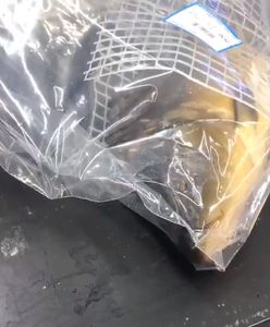 Karp dogorywający w foliowym worku. "Ale on skacze!"