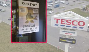 Tesco oficjalnie zrezygnowało ze sprzedaży żywych karpi. Ale znaleźli inny sposób