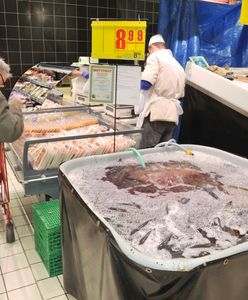 Żywe karpie znikają z kolejnych sieci supermarketów. Ale Kaufland i Carrefour mówią "nie" ekologom