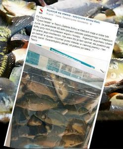 Sezon znęcania się nad karpiami rozpoczęty. Przygnębiające zdjęcie z hipermarketu