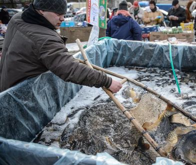 Za złe traktowanie karpia nawet 2 lata więzienia