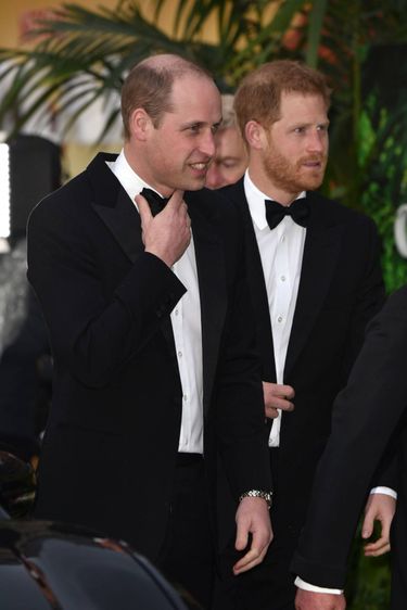 Harry i William premiera