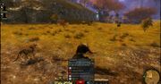 Żarty ze Skyrima się nie starzeją [GUILD WARS 2]