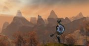 8 czerwca będziemy mogli zagrać w Guild Wars 2