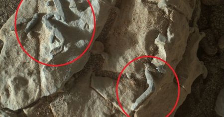 NASA stanęło przed wielkim odkryciem. To mogą być skamieliny obcej formy życia
