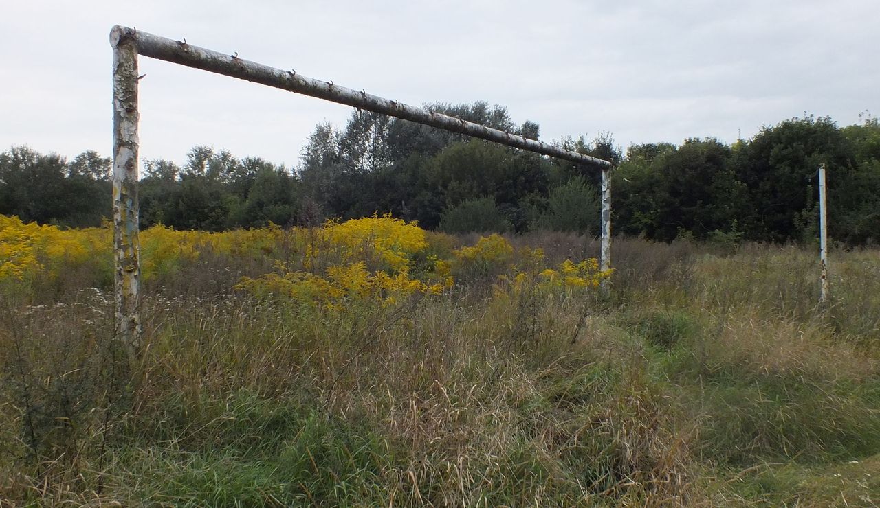 Widok jak z horroru w samym centrum miasta. Stadion, który straszy od lat