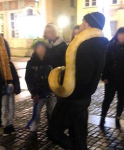 Egzotyczny wąż w Gdańsku. Niepokojąca atrakcja turystyczna