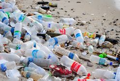 Globalny pakt przeciwko plastikowym odpadom