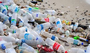 Ponad 90 proc. plastiku nigdy nie trafiło do recyklingu. Według Brytyjczyków to "statystyka roku"