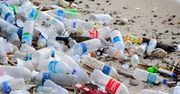 Zjadają plastik i wytwarzają alkohol. Zaskakujące odkrycie naukowców