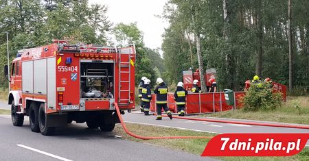 Znów pożar lasu pod Piłą