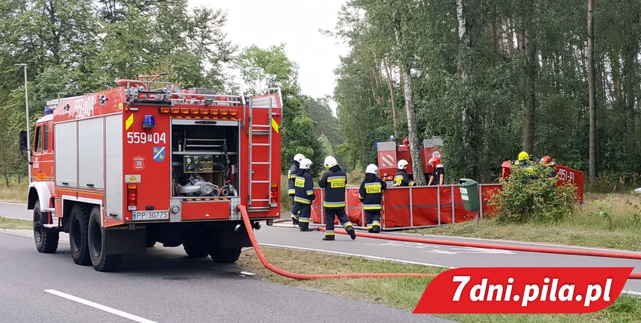 Znów pożar lasu pod Piłą