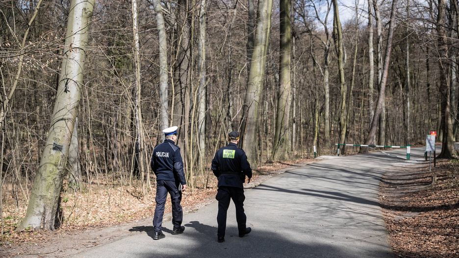 Zakaz wstępu do lasów obowiązuje do 11 kwietnia (zdjęcie ilustracyjne)
