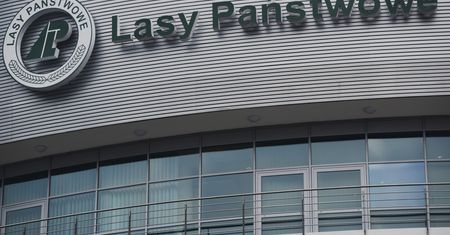 Lasy Państwowe mają kłopot. Wszystko przez prezesa agencji PR