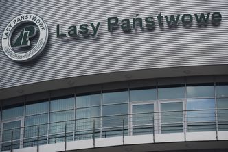 Lasy Państwowe mają kłopot. Wszystko przez prezesa agencji PR