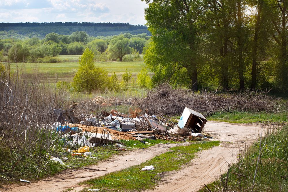Plaga nielegalnych wysypisk śmieci w lasach. Sprawców pomagają namierzyć nawet listy miłosne