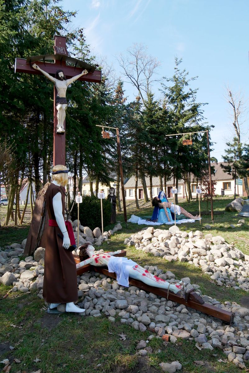 zdjęcie