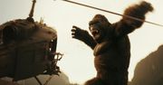 Box Office USA: King Kong rzuca wyzwanie Godzilli [PODSUMOWANIE]