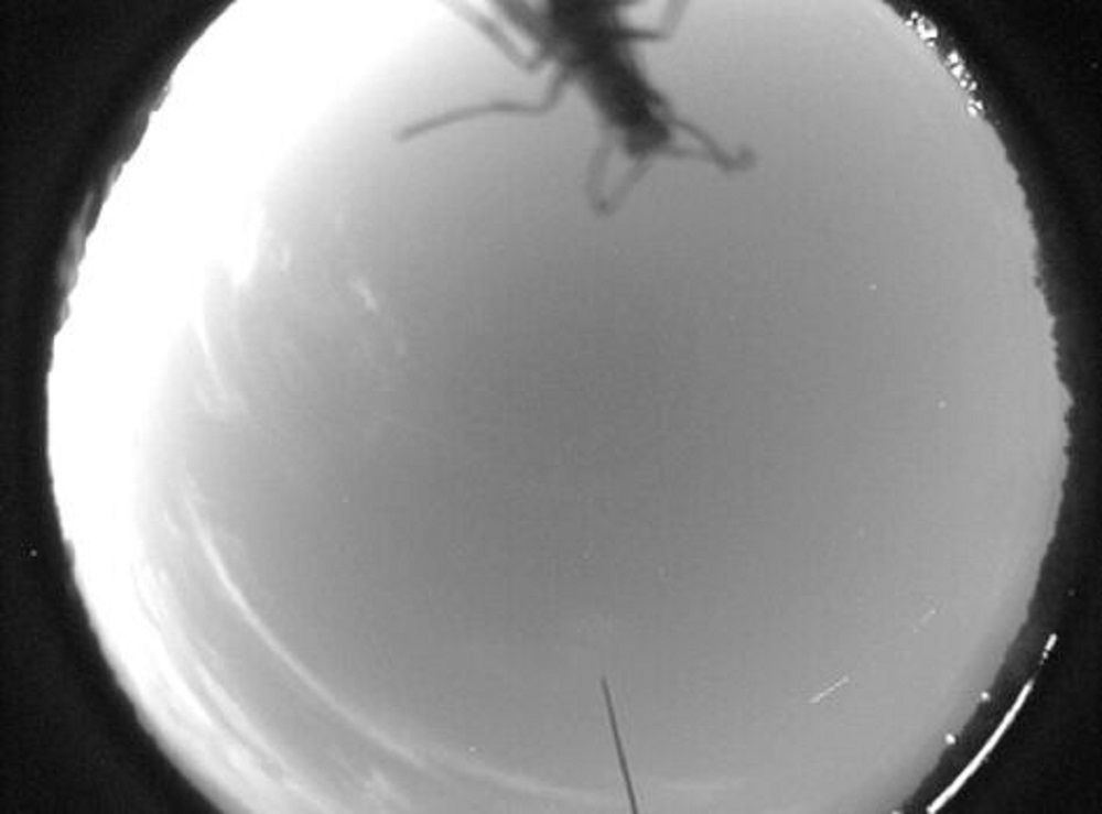 NASA publikuje niecodzienne zdjęcia 