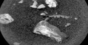 Dziwne odkrycie łazika Curiosity. Błyszczący obiekt na powierzchni Marsa
