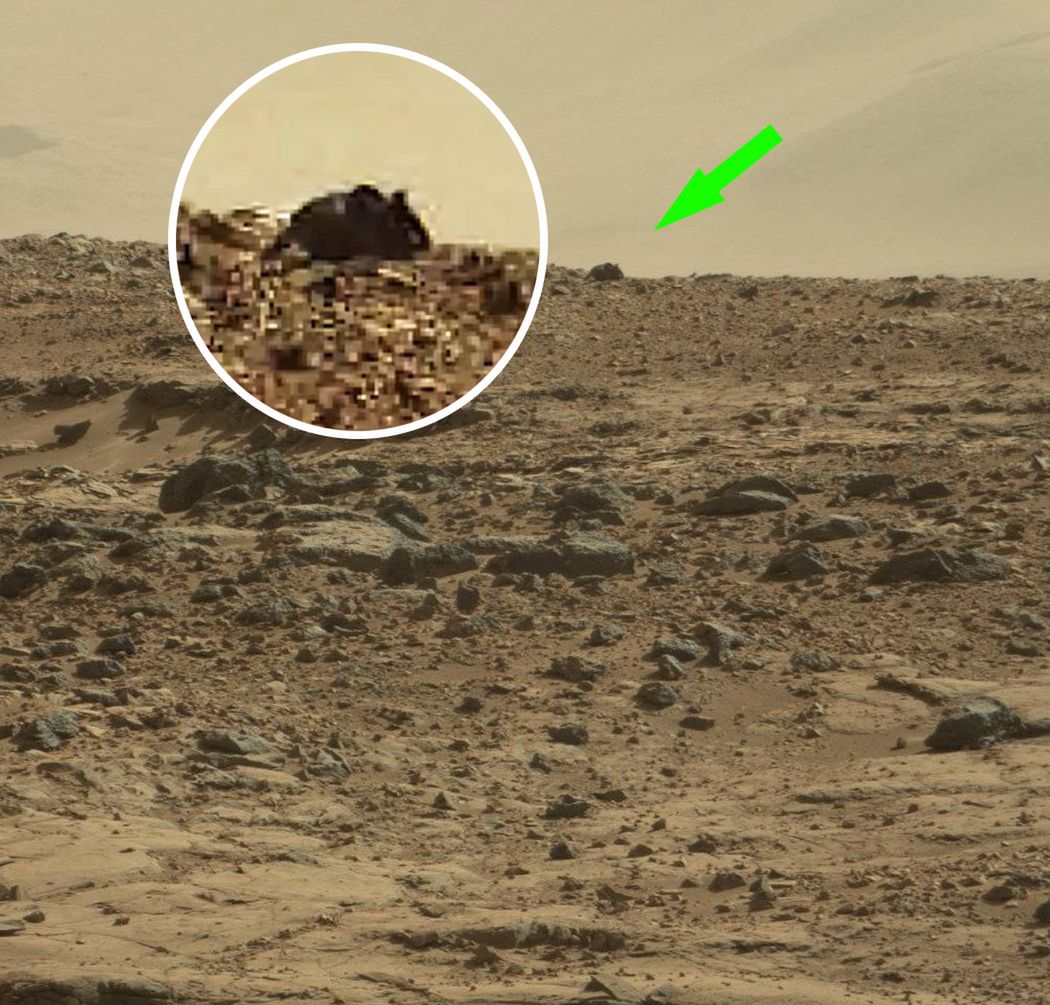 Co to jest? Cały internet wpatruje się w najnowsze zdjęcie z Marsa