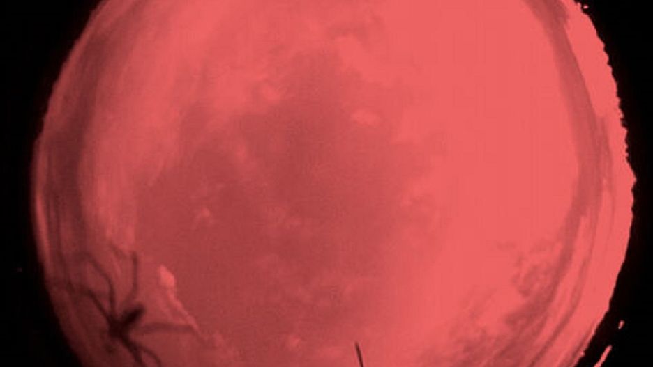 NASA opublikowała niecodzienne zdjęcia
