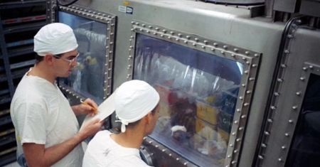 NASA karmiła zwierzęta próbkami z kosmosu. Kontrowersyjny eksperyment