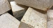 Mieszkania na Księżycu i Marsie będą zbudowane z grzybów? NASA testuje pomysł