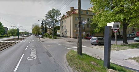 Skandal wokół wypadku. Para emerytów potrącona na pasach, obok stał nieczynny fotoradar