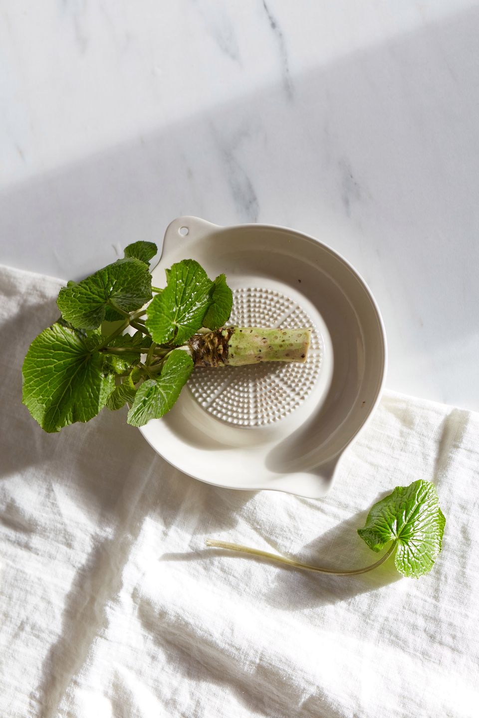 Wasabi jest kapryśne i delikatne, jego uprawa jest niezwykle trudna