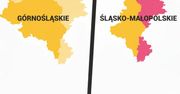 Zmiana nazwy województwa śląskiego nie wystarczy. "Trzeba zmienić granice"