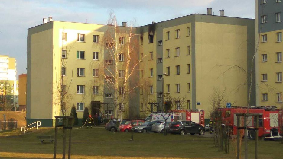 W mieszkaniu nie było nikogo innego