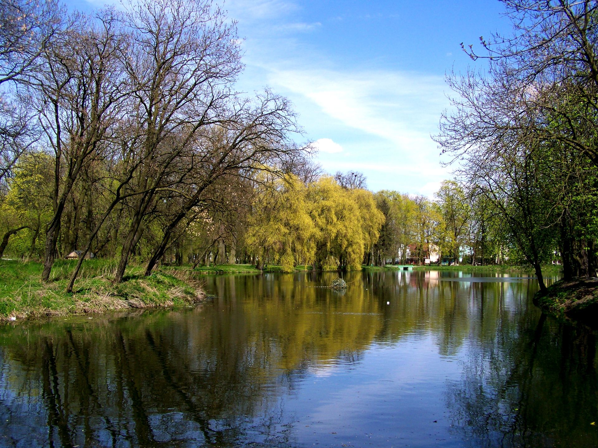 Obraz