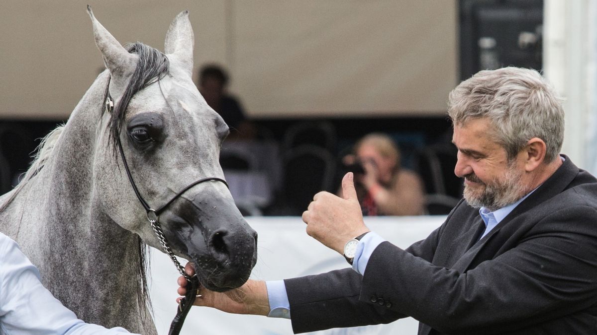 Minister Rolnictwa i Rozwoju Wsi Jan Krzysztof Ardanowski w Janowie Podlaskim.